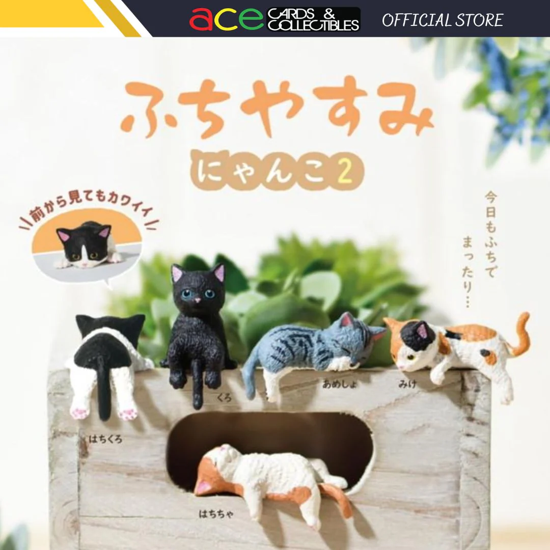 Edge Rest Cat Kitten 2