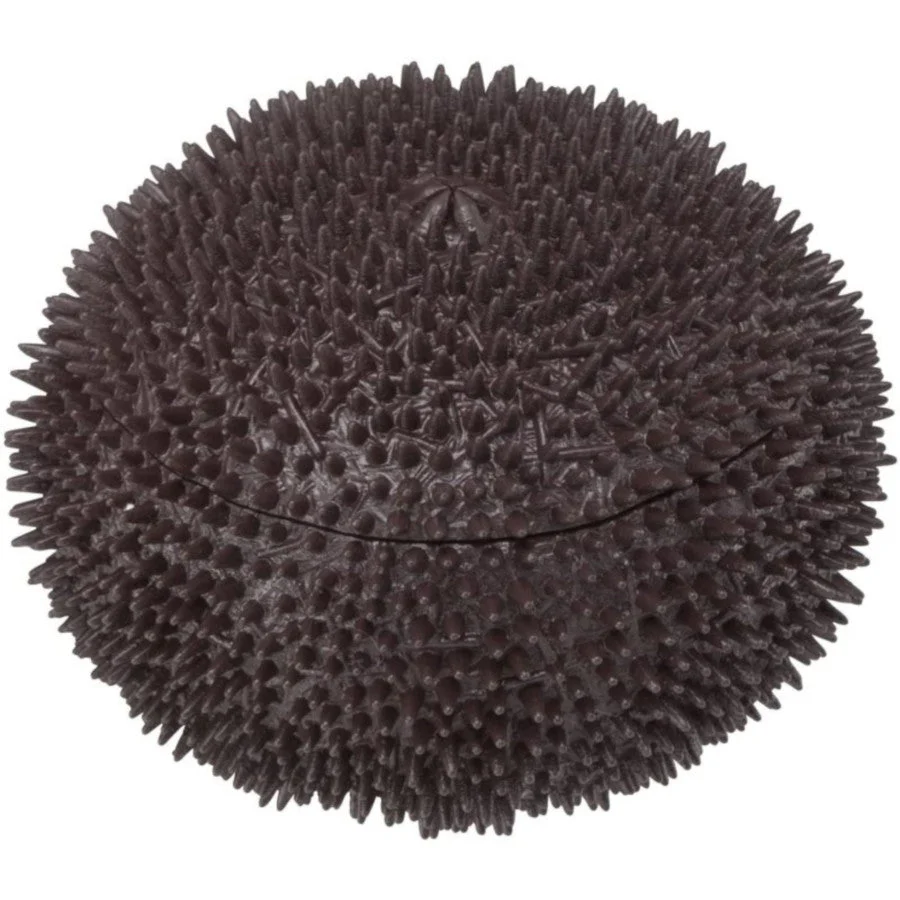 Kaitai Puzzle LITE "Sea Urchin Puzzle" - Image 5