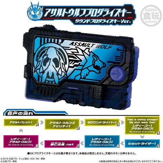 Kamen Rider Sound Progrise Series SG Progrise Key 06 - Image 3