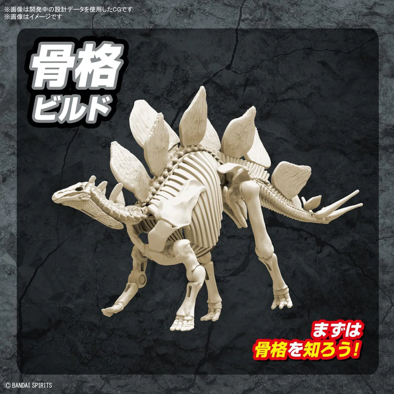 New Dinosaur Plastic Model Kit Brand "Plannosaurus Stegosaurus" - Image 4