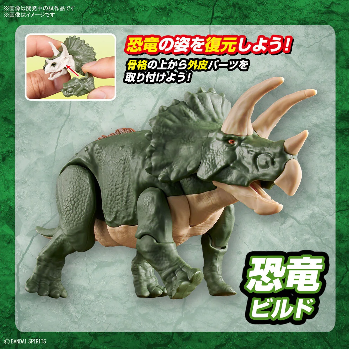 New Dinosaur Plastic Model Kit Brand "Triceratops" - Image 10
