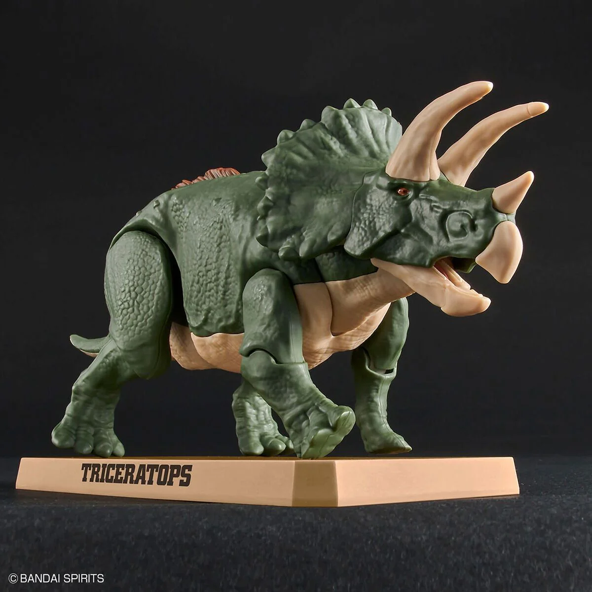 New Dinosaur Plastic Model Kit Brand "Triceratops" - Image 2