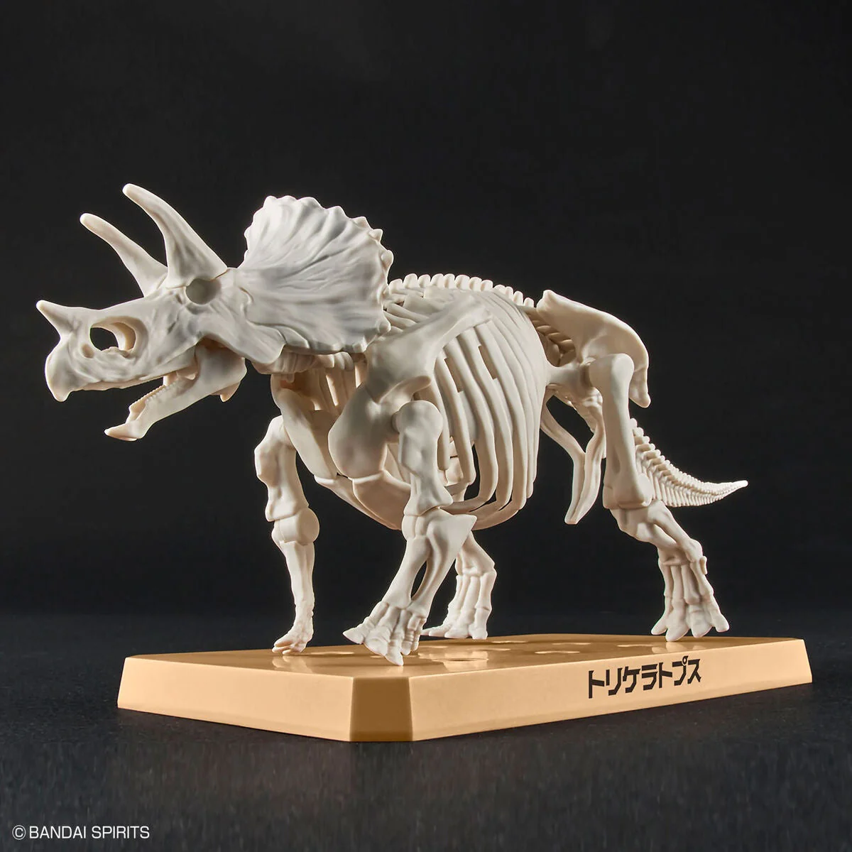 New Dinosaur Plastic Model Kit Brand "Triceratops" - Image 3