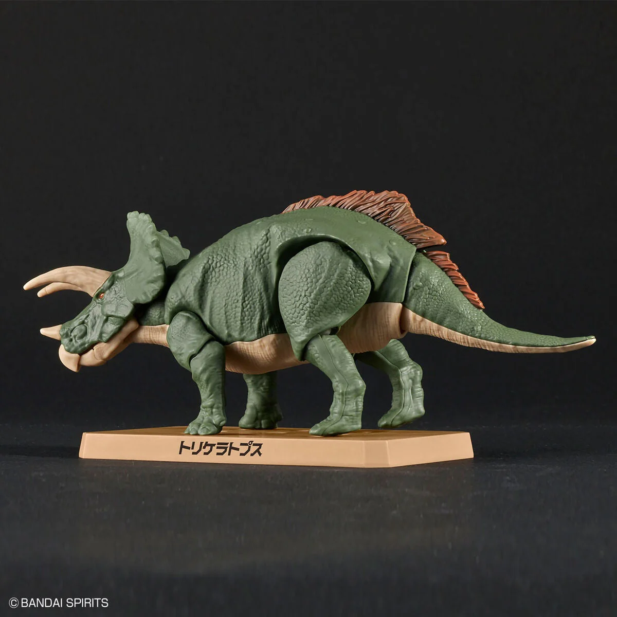 New Dinosaur Plastic Model Kit Brand "Triceratops" - Image 4
