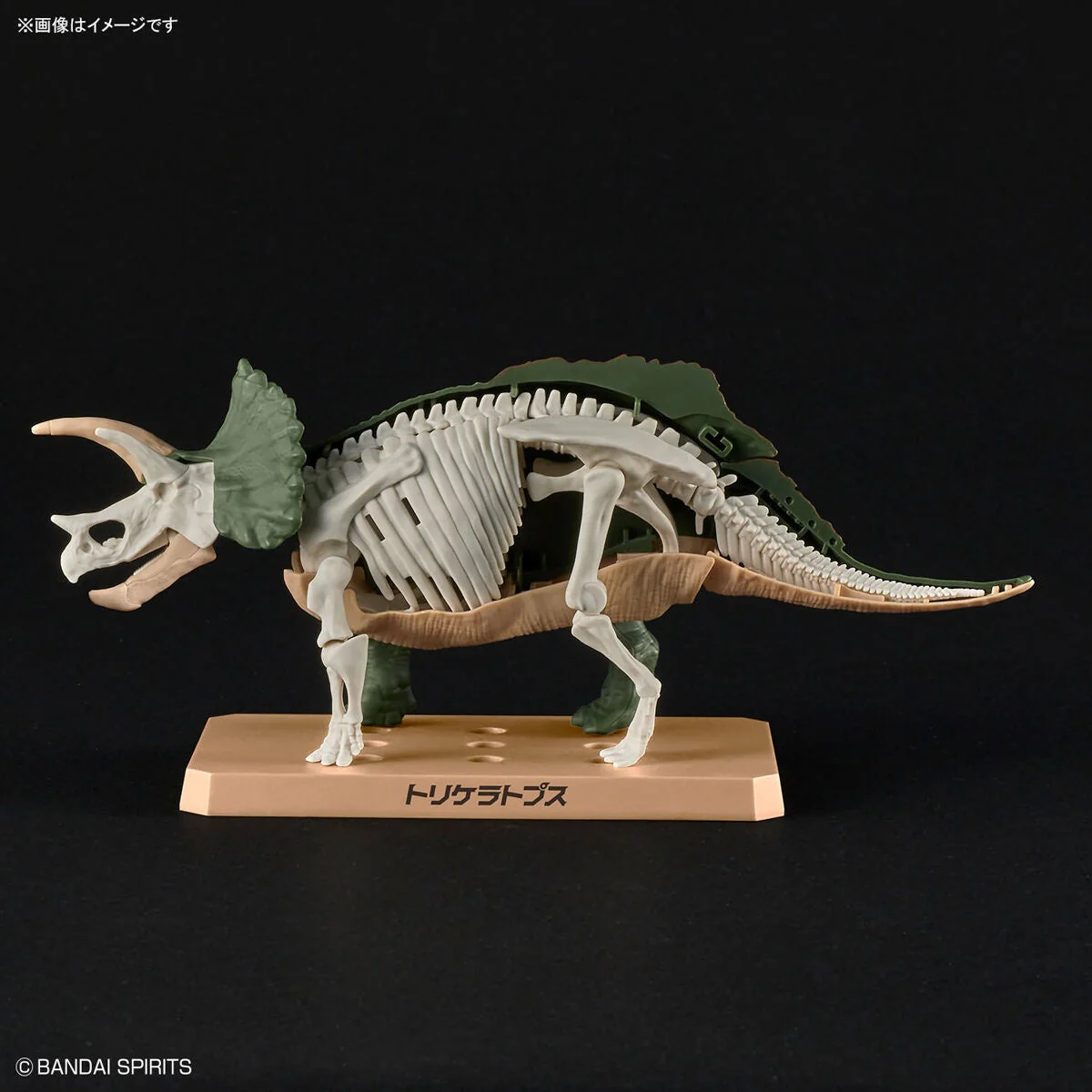 New Dinosaur Plastic Model Kit Brand "Triceratops" - Image 5