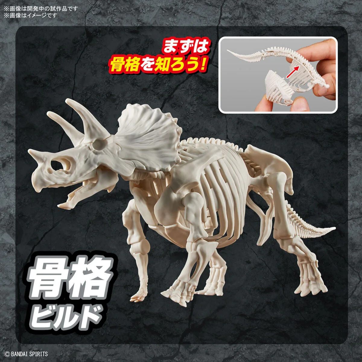 New Dinosaur Plastic Model Kit Brand "Triceratops" - Image 7