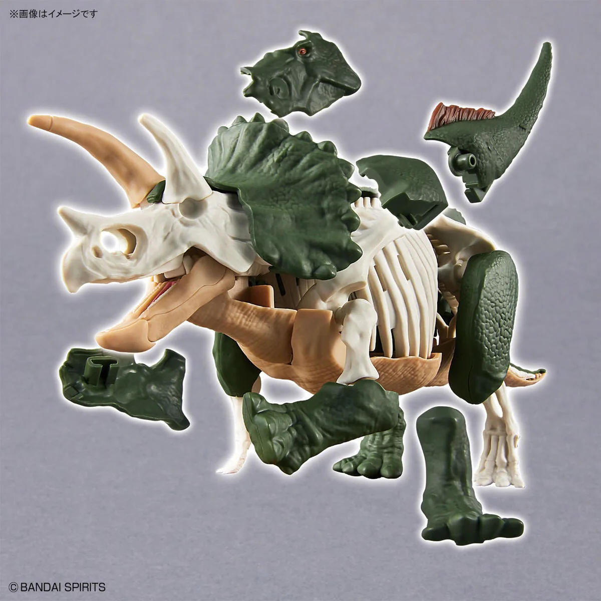 New Dinosaur Plastic Model Kit Brand "Triceratops" - Image 8
