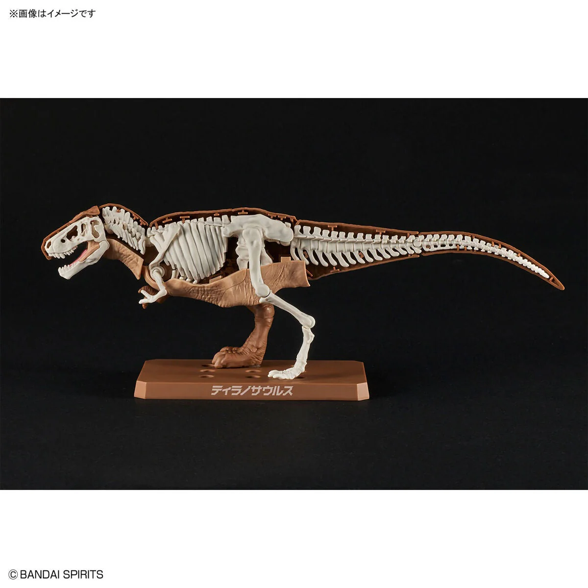 New Dinosaur Plastic Model Kit Brand "Tyrannosaurus" - Image 6