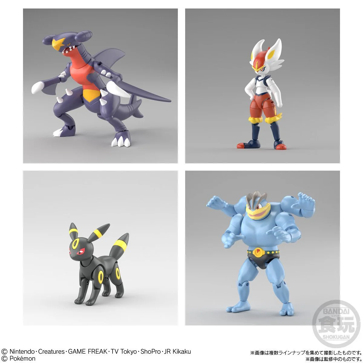 Pokémon Shodo 4 - Image 2